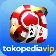 tokopediavip - Catatan Keuangan APK